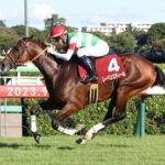 【競馬予想】[2]第41回エプソムカップ(GⅢ) /2024