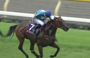 ロマンチックウォリアー･マクドナルドの渾身の風車鞭www