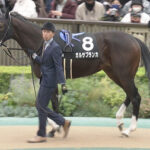 ガルサブランカ (イクイノックス妹)1勝クラス突破できず