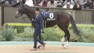 ガルサブランカ (イクイノックス妹)1勝クラス突破できず