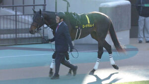 【鳴尾記念】ロードデルレイ発送直前競走除外で約20億円が返還ｗｗｗ