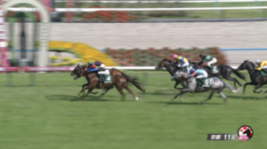 ボッケリーニ「ヨーホーレイクくん、合格」