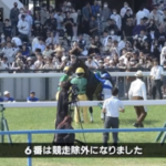 【鳴尾記念】ロードデレナイwww