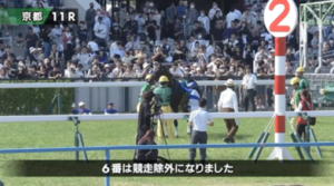 鳴尾記念、川田のロードデルレイが直前除外で返還金が20億超え 売得金が去年の半分以下に
