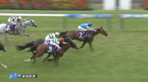 【安田記念レーティング】ロマンチックウォリアー121、ソウル119、ガイアフォース117、ナミュール115