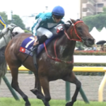 ロマンティックウォリアー日本G1制覇で香港はお祭り騒ぎ 地上波ニュース番組でもトップ扱い