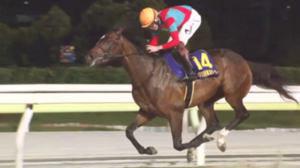 ラムジェット、秋はJDC→チャンピオンズC