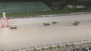 ハルウララブームから20年、ついに高知競馬が地方競馬の頂点に立った