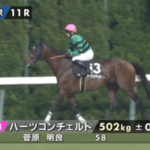 【ジューンS】ハーツコンチェルトさん出走