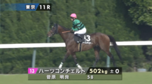 【ジューンS】ハーツコンチェルトさん出走