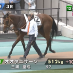 【日曜東京3R】オオタニサーン&三浦騎手がキタ━━━━(゚∀゚)━━━━!!