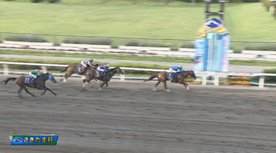 さきたま杯当日の浦和競馬場の入場者数1万人　他