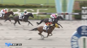 【日曜東京2R】忘れた頃の江田照男ｷﾀ━━━━(ﾟ∀ﾟ)━━━━!!