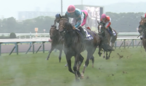 【レーティング発表】宝塚記念ブローザホーン120、さきたま杯レモンポップ118