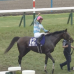 菅原明良騎手G1初勝利