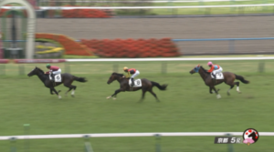 エリキング強すぎワロタw w w w w