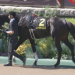 【競馬予想】[2]第60回七夕賞(GⅢ) /2024