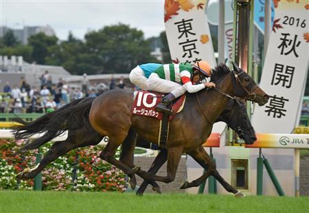 好きな毎日王冠の勝ち馬