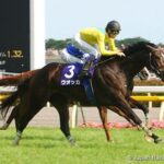 ウオッカはもう牝馬最強じゃないよね?