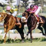 これは強えって思った芝3000m以上のレース