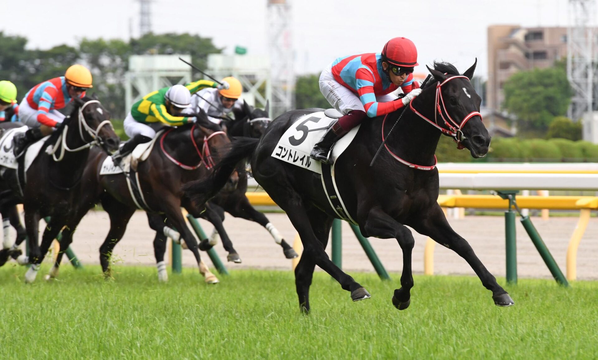 コントレイル 11戦8勝 GI5勝 ←ハッキリ言う、強いよね