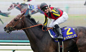 ドゥラメンテってどんだけ強かったの？