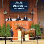 セレクトセールで完全ダート馬でも億超えが当たり前になって来ている