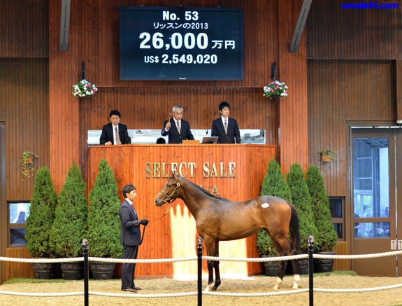 セレクトセールで完全ダート馬でも億超えが当たり前になって来ている