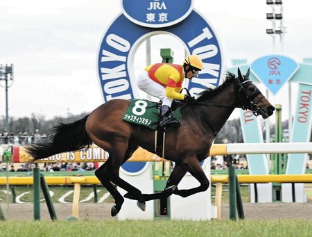 皐月賞馬ジャスティンミラノは天皇賞・秋に直行