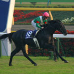 引き際が完璧だった馬