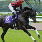 馬体がとんでもなかった馬と言えば?