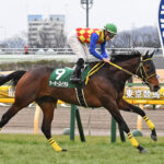 今年の年度代表馬になりそうな馬、なるかもと思う馬は?