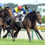 強いのに弱そうな名前の馬