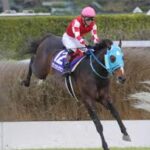 競馬ファンの約90%は大好きであろう競走馬