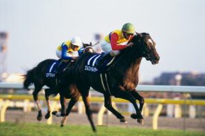 エルコン、グラスワンダー、スペシャルウィークどの順番に強いの？