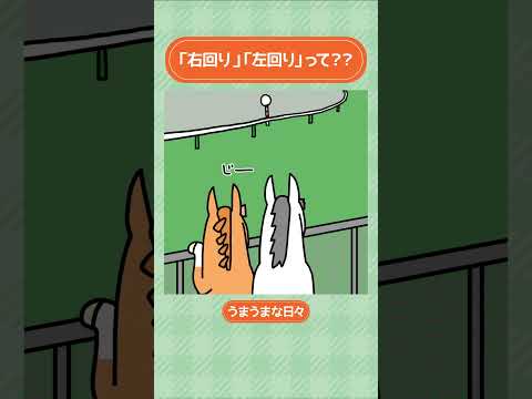 「右回り」「左回り」って？？🏇 #shorts ｜うまうまな日々｜JRA公式