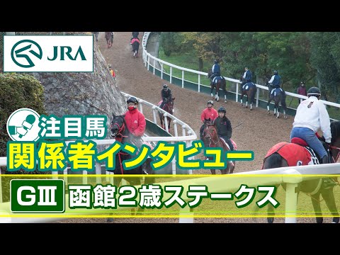 【注目馬 関係者インタビュー】2024年 函館2歳ステークス｜JRA公式