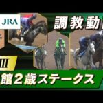 【調教動画】2024年 函館2歳ステークス|JRA公式