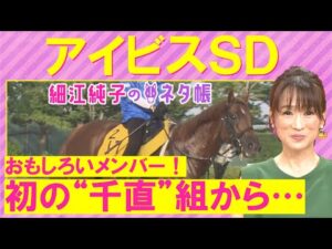 【3週連続注目馬が激走!】「今回1番のポイントはマウンテンムスメが…」チェイスザドリーム、ウイングレイテストなど快速馬が激突!アイビスサマーダッシュ(GⅢ)を徹底解説!<細江純子のネタ帳>