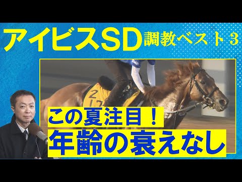 【意外な伏兵もランクイン！】チェイスザドリーム、ウイングレイテスト、モズメイメイ・・・　競馬エイト・高橋賢司トラックマンの調教解説＜アイビスサマーダッシュ(ＧⅢ)＞