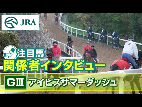 【注目馬 関係者インタビュー】2024年 アイビスサマーダッシュ｜JRA公式