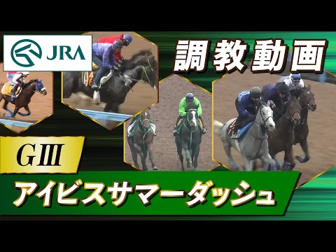 【調教動画】2024年 アイビスサマーダッシュ｜JRA公式