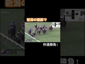 新潟の直線で枠連勝負!