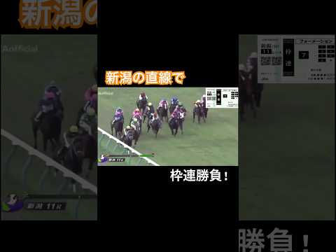 新潟の直線で枠連勝負!