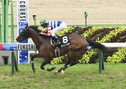 今年の3歳馬勝ち上がり多数で意外に強い説