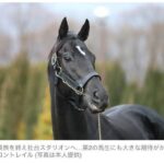 コントレイル「写真ですか？これ使っていいですよ」