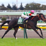 早熟かと思ったら晩成だった馬