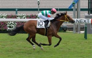 ハープスター･デアリングタクト･リバティアイランドを強い順に並べると？