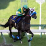ウィルソンテソーロがコリアCに登録、今年も日本馬が楽勝か
