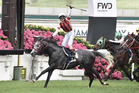 松岡正海の代表お手馬といえば